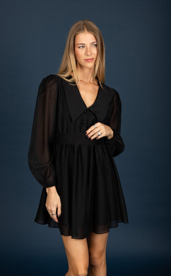 Gary - Chiffon Mini Dress